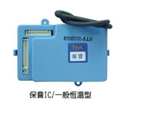 恆温型点火器系列